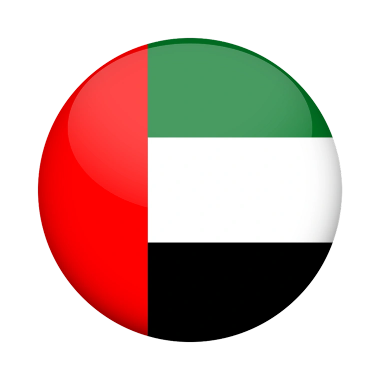 UAE flag